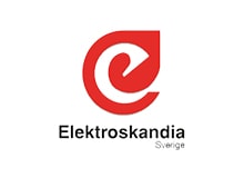 Логотип Electroskan